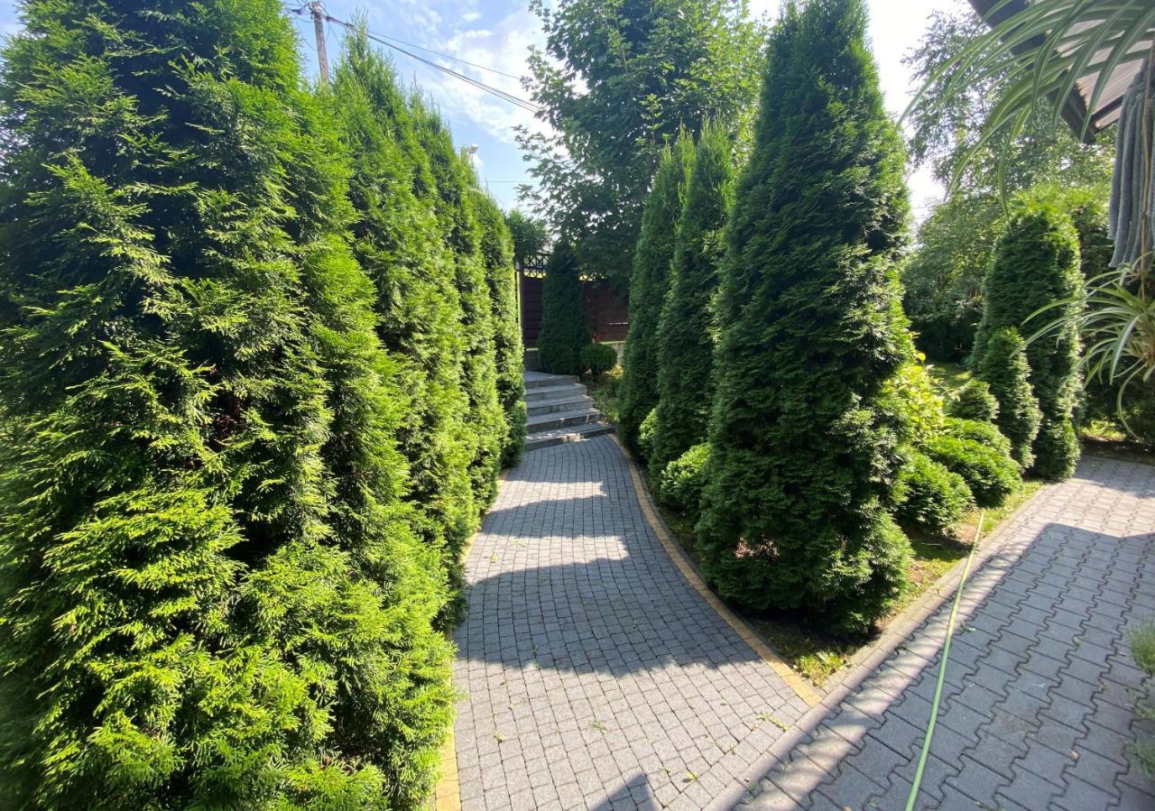 Apartment Terrace